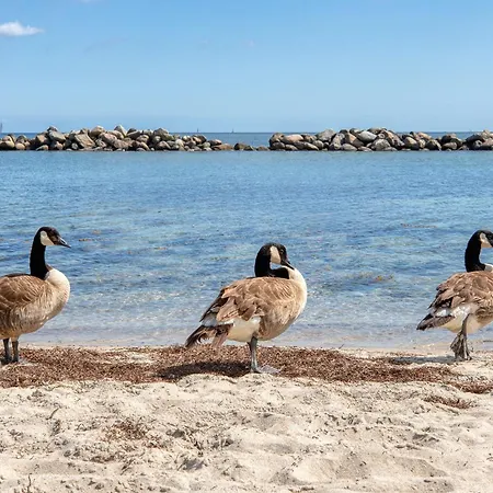 Ostseeschnucke Direkt Am Zur Landseite *